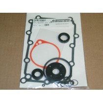 KIT OVERHAUL SEAL HYDRO GEAR HG 2510010 NEW