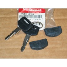 IGNITION SWITCH KEY CUB CADET CY 1A7880-52100 CY 194155-52160 (SET OF 2) NOS