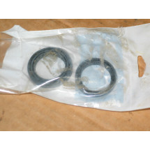 CRANK SEAL SET KOHLER KH X 583-2 KH X 583-1 IH 392939 R91 NOS