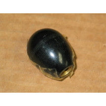 HYDRAULIC CONTROL SHIFTER KNOB CUB CADET IH 61129 C1 IH61129C1 IH-61129-C1 IH 173808 C1 720-3000 920-3000 NOS