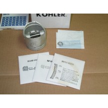 PISTON ASSEMBLY .010 KH 41-874-02  IH 385195 R91 KH 41-074-02 NOS
