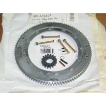 FLYWHEEL RING GEAR CUB CADET BS 696537 BS 392134 BS 399676 IH 126094 C1 NEW